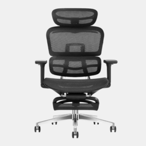 High Back with Footrest